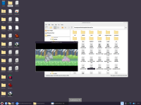 [PokeCommunity.com] [NEVERMIND][pokefirered] Broken color palette on scene 3 while replacing Gengar sprite.