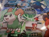 [PokeCommunity.com] Are these leaks real?