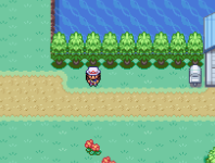 [PokeCommunity.com] A couple of graphical errors...