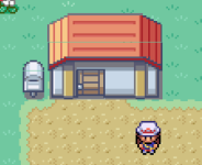 [PokeCommunity.com] A couple of graphical errors...