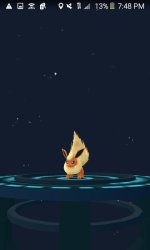 Pokemon GO EEVEElutions