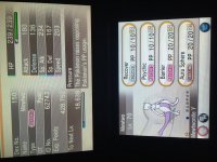 [PokeCommunity.com] FT: Mewtwo w/ Mewtwonite Y