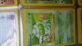 [PokeCommunity.com] Bulbasuar hp font error?