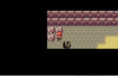 [PokeCommunity.com] I cannot pick up the hidden item (mushrooms) in Mt.Moon, why?