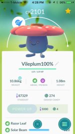 [PokeCommunity.com] Have Any 100% IV Pokemon???