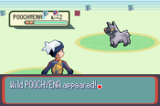 [PokeCommunity.com] A glaring (and confusing) issue