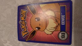 General Pokémon Trading Card Game Daily Chit-Chat
