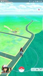 [PokeCommunity.com] Flashing over home