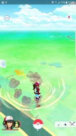 [PokeCommunity.com] Flashing over home