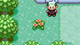 [PokeCommunity.com] adding new tiles that have animations