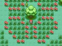 [PokeCommunity.com] Pokemon Blue Reborn
