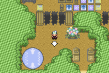POKEMON Difficult emerald.png