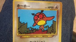 Misprint japanese hoothoot card