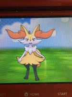 need a critique on a braixen painting