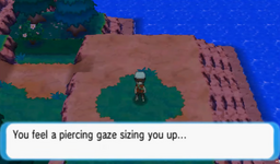 piercing gaze.png