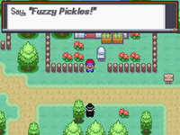 Fuzzy Pickles.PNG