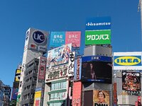 [PokeCommunity.com] The PokéCommunity Photo Album