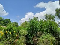 [PokeCommunity.com] The PokéCommunity Photo Album