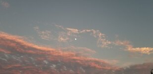 [PokeCommunity.com] The PokéCommunity Photo Album