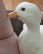 [PokeCommunity.com] Reply with a GIF