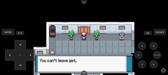 [PokeCommunity.com] Pokemon the New Order [BETA V3 RELEASED]