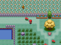[PokeCommunity.com] Pokemon Gauntlet!