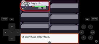 [PokeCommunity.com] Pokemon the New Order [BETA V3 RELEASED]