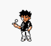 [PokeCommunity.com] Pokegold Sprite hack