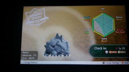 [PokeCommunity.com] Someone looking for good IV rhyhorn?