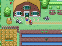 [PokeCommunity.com] Pokemon Oranje Demo