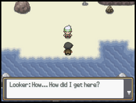 [PokeCommunity.com] Pokémon Looker v1.0.2