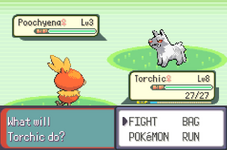 [PokeCommunity.com] [Decomps] Pokemon Shelter [Recruitment]