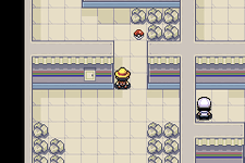 [PokeCommunity.com] Pokemon Mugiwara