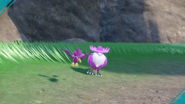 [PokeCommunity.com] ~>{*Shiny Hunters Club}<~