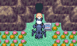 [PokeCommunity.com] Pokemon R.O.W.E. 2.0 - an Open World Version of Pokémon Emerald(Gen 9, 16 Badges, Sevii Islands, Following Pokémon, Costumes and much More)