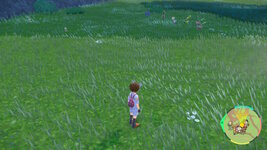 [PokeCommunity.com] ~>{*Shiny Hunters Club}<~