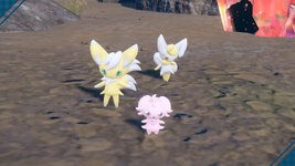 [PokeCommunity.com] ~>{*Shiny Hunters Club}<~