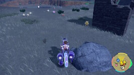 [PokeCommunity.com] ~>{*Shiny Hunters Club}<~