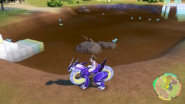 [PokeCommunity.com] ~>{*Shiny Hunters Club}<~