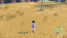 [PokeCommunity.com] ~>{*Shiny Hunters Club}<~