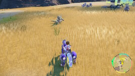 [PokeCommunity.com] ~>{*Shiny Hunters Club}<~