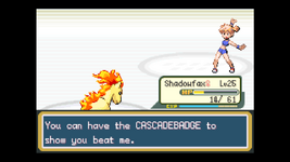 [PokeCommunity.com] The Other Voyager - Travel Journals | The Ultimate Solo Challenge I: Fire Red Version