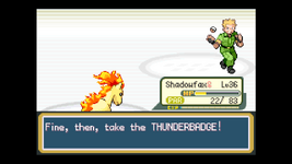 [PokeCommunity.com] The Other Voyager - Travel Journals | The Ultimate Solo Challenge I: Fire Red Version