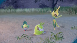 [PokeCommunity.com] ~>{*Shiny Hunters Club}<~