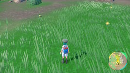 [PokeCommunity.com] ~>{*Shiny Hunters Club}<~