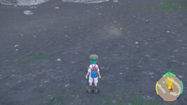 [PokeCommunity.com] ~>{*Shiny Hunters Club}<~