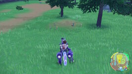 [PokeCommunity.com] ~>{*Shiny Hunters Club}<~