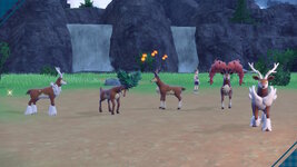 [PokeCommunity.com] ~>{*Shiny Hunters Club}<~