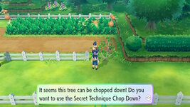 [PokeCommunity.com] ~>{*Shiny Hunters Club}<~