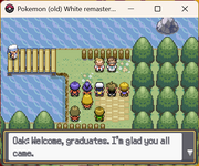 [PokeCommunity.com] Pokémon: (old) White REMASTERED - playable Alpha